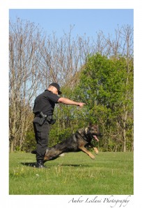 Winchester Police K-9, Axel